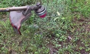 Chainsaw Blade on a Weed Whacker