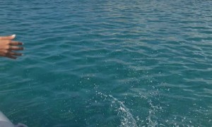 Little Kid Makes a Big Splash