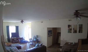 Man Walks into House and Passes Out