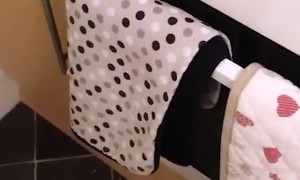 When a Spider Holds Your Dinner Hostage