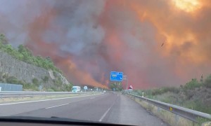 Driving Through a Forest Fire on the Highway