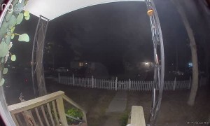 Missing Cat Rings Doorbell