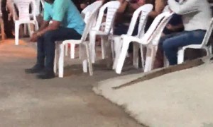 Snake Joins the Party