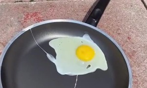 Is It Hot Enough to Fry an Egg?