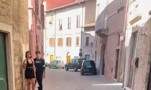 Skateboarding With My Dog