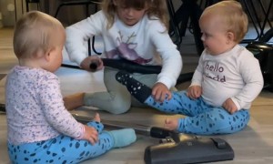 Siblings Vacuuming Each Other End up Surprised
