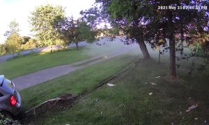 Woman Runs Stop Sign and Runs Over Tree
