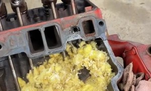 Mice Make Their Home in an Engine
