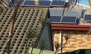 Kookaburra Sits on Spinning Vent