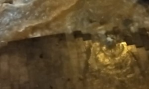 Broken Pipeline Floods Streets of Madrid