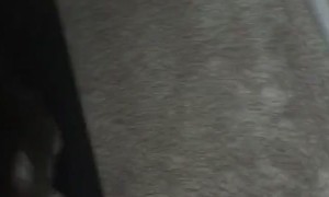 Cat Sings For His Food