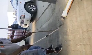 Rinkhals Snake Removed and Rescued