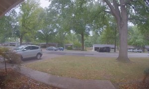 Doorbell Cam Catches Car's Close Call With Falling Tree Limb
