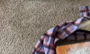 Kid Creates Ashen Chaos in the Living Room