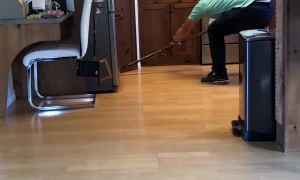 A True Canadian Extermination