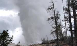 Gigantic Geyser At Yellowstone