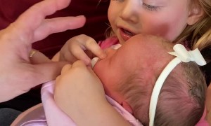 Big Sister Decides She's Done With Baby Sister