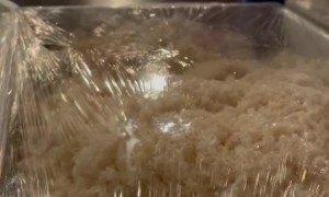 Rat in Restaurant Gets Rice as a Meal