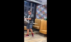 Seagull Calmly Removed From Restaurant