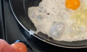 Cracking into Egg-Ception