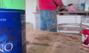 Worker Heating up Lunch in Microwave Finds Something Unexpected