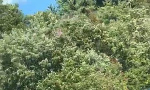 A Useful Wintertime Car Mod