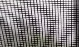 Storm Sparks Power Lines