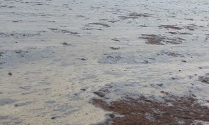 Bay's Water is Missing