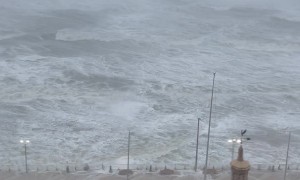 Wild Waves in Florida