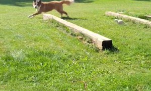 When the Tables Turn