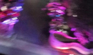 Outdoor Fireplace Accidently Summons Fire Department