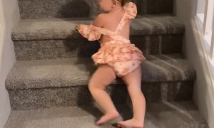Kiddo Speedily Slides Down the Stairs