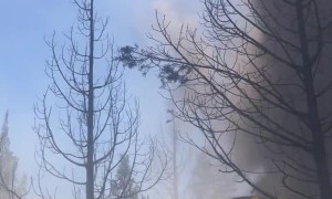 Firefighters Encounter a Dust Devil