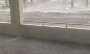 Extremely tense footage of Hurricane Ian winds & flooding