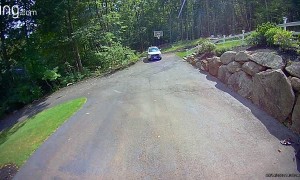 Black Bear Takes Trash From Garage