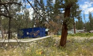 Hanging Hammock Hangs No More