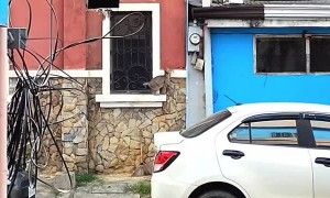 Stray Cat Brings Breakfast to Kittens