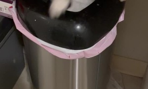 This Cat Might Need a Bath