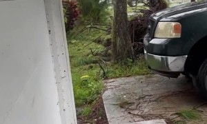 Hurricane Ian Pushes Tree onto Truck