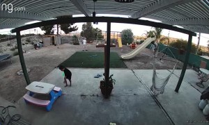 Boy Gets Baseball Blow to the Face