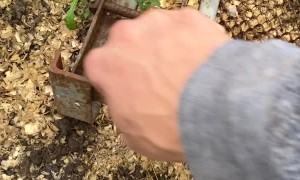 When Your Assistant is a Well Trained Raven