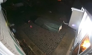 Dog Bolting After Bunny Causes Owner to Fall on Slick Patio