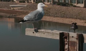 What if Your Wedding Film Started Like This?