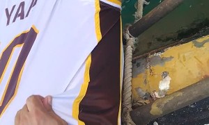 Tired Pup Rescued From Water