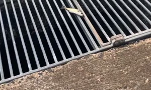 Fish Slips Through Father's Fingers