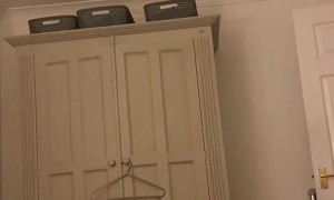 Cat Leaps to Bat at Light Bulb