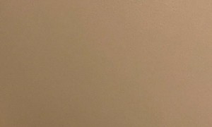 Man Finds Black Bear on Closing Rounds at Ski Resort