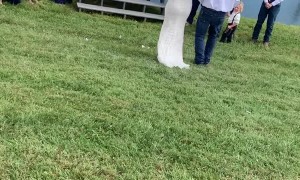 A Baptism and Wedding BOGO!