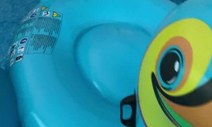 Bird Relaxes on Pool Float