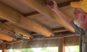 Using Gas to Take Out Wasps